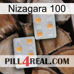 Nizagara 100 25